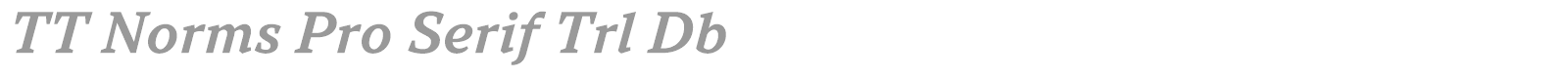 TT Norms Pro Serif font preview